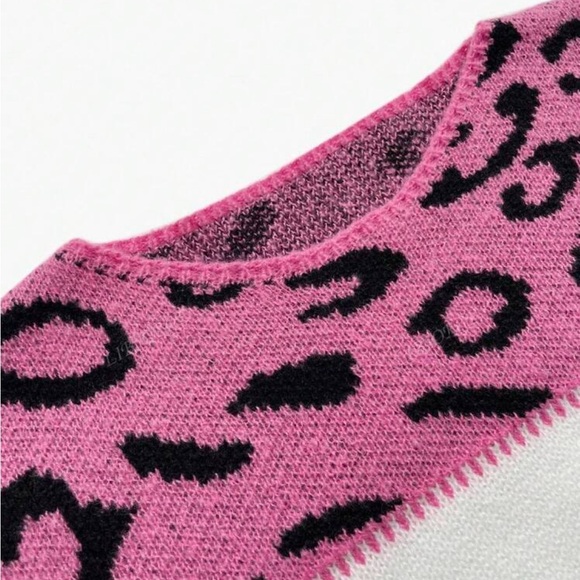 Comfy Leopard color Block Stripe Pattern Long Sleeve Knit Sweater Top - Picture 6 of 10